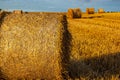 Bales of Straw on a Harvested Grainfield