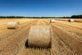 Bales of straw laying on a field