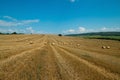 Bales of straw. Levels with bales. Royalty Free Stock Photo