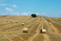 Bales of straw. Levels with bales. Royalty Free Stock Photo