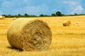 Bales of straw. Levels after the harvest Royalty Free Stock Photo