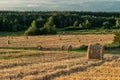 Bales of straw on a mown wheat field against the background of the forest. Royalty Free Stock Photo