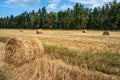 Bales of straw on a mown wheat field after harvesting against the background of the forest. Royalty Free Stock Photo