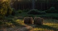 Bales of straw on a mown wheat field after harvesting Royalty Free Stock Photo