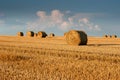 straw in rolls on the stubble of harvested wheat in the field against the background of a beautiful sky Royalty Free Stock Photo