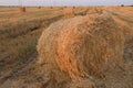 Bales of straw are scattered in the field, in the foreground a large roll of straw, harvesting in the farm