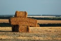 Bales of straw and stubbles on a harvested wheat field