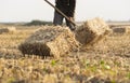 A young farmer is loading bales straw Royalty Free Stock Photo