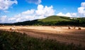 Bales in a wheat field East Sussex