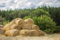 Bales of yellow golden straw stacked in a pile at the farm with blue sky on the background . Food for Farm animals. Royalty Free Stock Photo