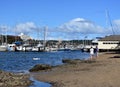 Dog swimming in the water, owners watching him Royalty Free Stock Photo