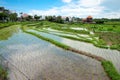 Bali counryside with rice terraces Royalty Free Stock Photo