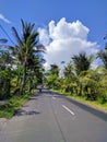 Bali countryside, indonesia