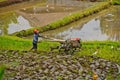 Bali farmer using tiller tractor in rice field. Royalty Free Stock Photo