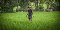 Balinese men in straw hat working on terrace field