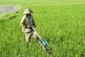 Male farmer using a wooden harrow in Bali Royalty Free Stock Photo