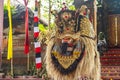 Close-up of the head of a Barong - a mythological lion- at a traditional Balinese dance in Ubud. Royalty Free Stock Photo