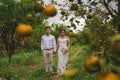 BALI/INDONESIA-JULY 29 2019: the bride wearing a white dress and suit in an orange farm with a background of green orange