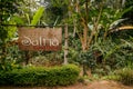 Famous Luwak coffee plantation beautiful tropical landscape