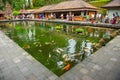 The Koi fish pool at Tirta Empul temple in Bali, Indonesia. Royalty Free Stock Photo