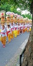 Bali temple festival procession on the street with many colorful of big offerings Royalty Free Stock Photo