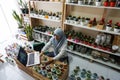 BALI/INDONESIA-MAY 25 2019: A Muslim businesswoman is selling succulent plants on internet. She has a clean and white workshop.