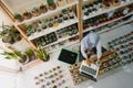 BALI/INDONESIA-MAY 25 2019: A Muslim businesswoman is selling succulent plants on internet. She has a clean and white workshop.