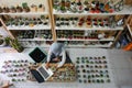 BALI/INDONESIA-MAY 25 2019: A Muslim businesswoman is selling succulent plants on internet. She has a clean and white workshop.