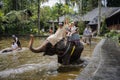 Bali, Indonesia, May 14, 2023. Tourist riding on elephants at Bali Elephant park.