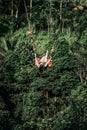 BALI, INDONESIA - MAY 16, 2018: Young woman swings in the jungle of Bali island. Rainforest of Indonesia. Travel concept