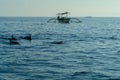 Sunrise view over tourists watching for wild dolphins