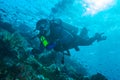 BALI ISLAND, INDONESIA - AUGUST 20, 2008: Unknown diver swimming