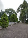 Bali Island, 08 May 2023 : Beautiful view during sunny day, Road with green trees beside it at Petang, Badung, Indonesia