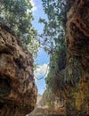 Bali island rock forest