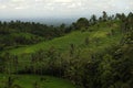 Bali - Jati Luwih Rice Terraces