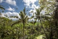 Green rice fields on Bali island, Jatiluwih near Ubud, Indonesia Royalty Free Stock Photo