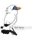 Bali Myna Cartoon illustration Royalty Free Stock Photo