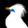 Bali mynah bird head vector illustration flat style profile