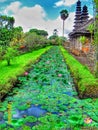bali, nature, landscape Royalty Free Stock Photo