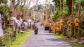 Bali Penjors, decorated bamboo poles along the village street in Sideman, Indonesia.