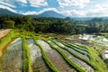 Jatiluwih Rice Terraces