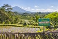 Jatiluwih Rice Terraces, Bali, Indonesia