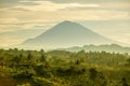 Bali Rice Terraces