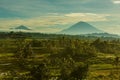 Bali Rice Terraces