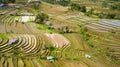 Bali ricefield aerial shot view