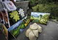 Bali shirt , Paintings and souvenirs for sale at Ubud village, Bali