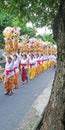 Bali temple festival procession on the street with many colorful of big offerings Royalty Free Stock Photo