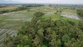The Bali Terrace Rice Fields Royalty Free Stock Photo