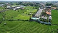 The Bali Terrace Rice Fields