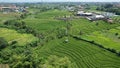 The Bali Terrace Rice Fields Royalty Free Stock Photo
